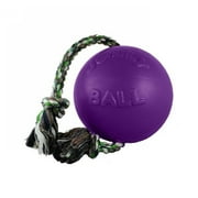 Jolly Pets Romp-n-Roll Dog Toy, 8", Purple