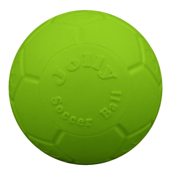 Jolly Pets Soccer Ball Green 6 inch  Apple Scented Rubber Chew Toy for Dogs