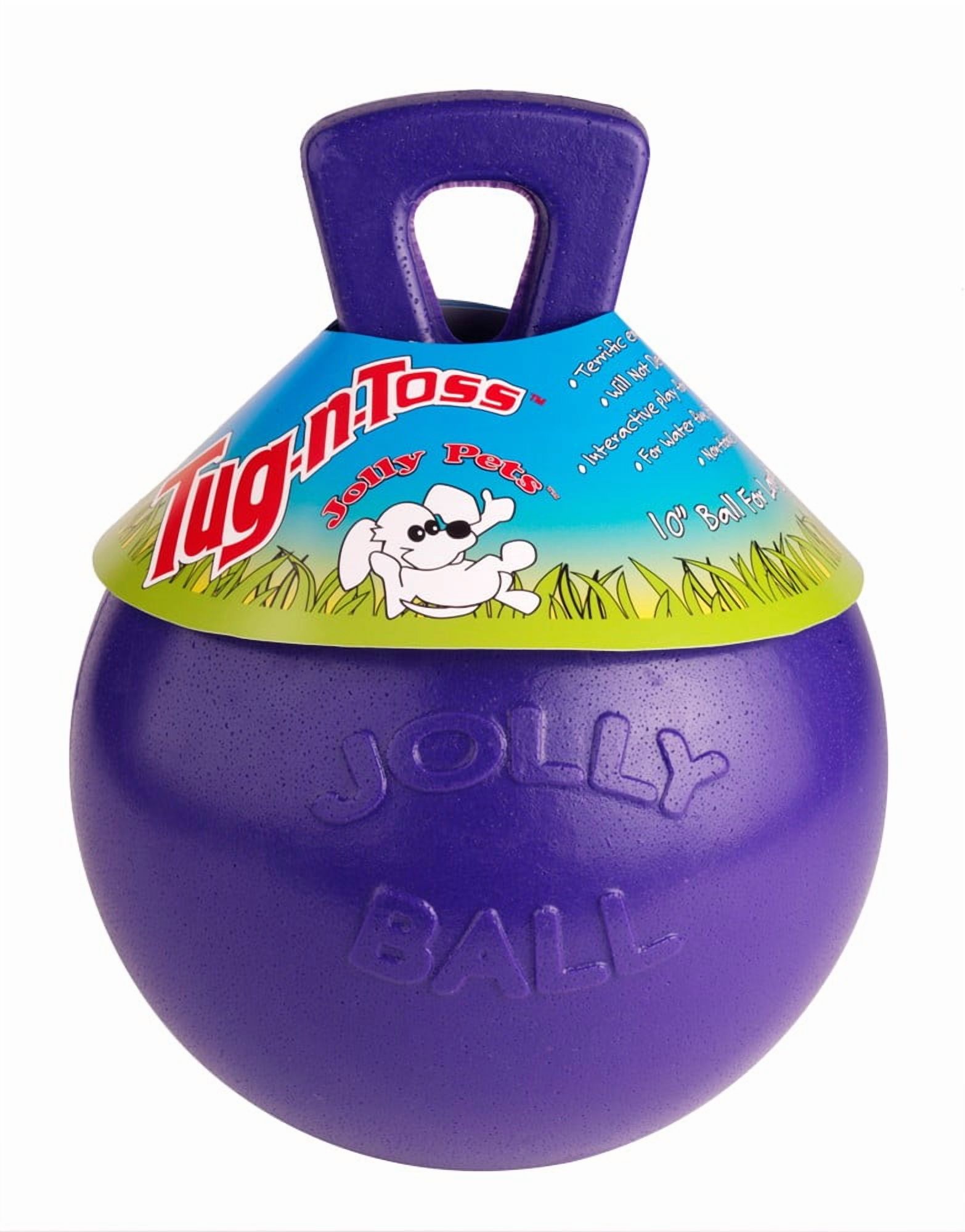 Jolly Pets Tug-N-Toss 6 inch Purple Rubber Ball with Handle Chew Toy for Dogs