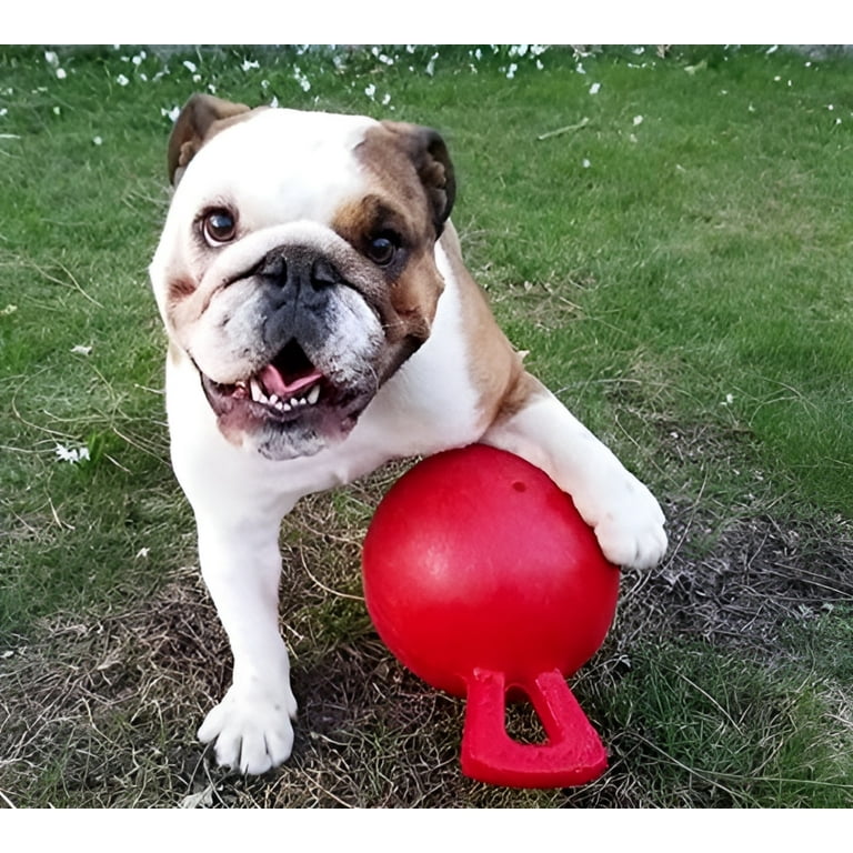 Jolly Pets Tug n Toss Ball Dog Toy Jolly Pets Tug n Toss Ball Dog Toy