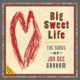thumbnail image 1 of Jon Dee Graham - Big Sweet Life: Songs Of Jon Dee Graham - Music & Performance - CD, 1 of 1