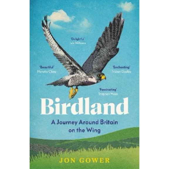 Jon Gower Birdland (Paperback)
