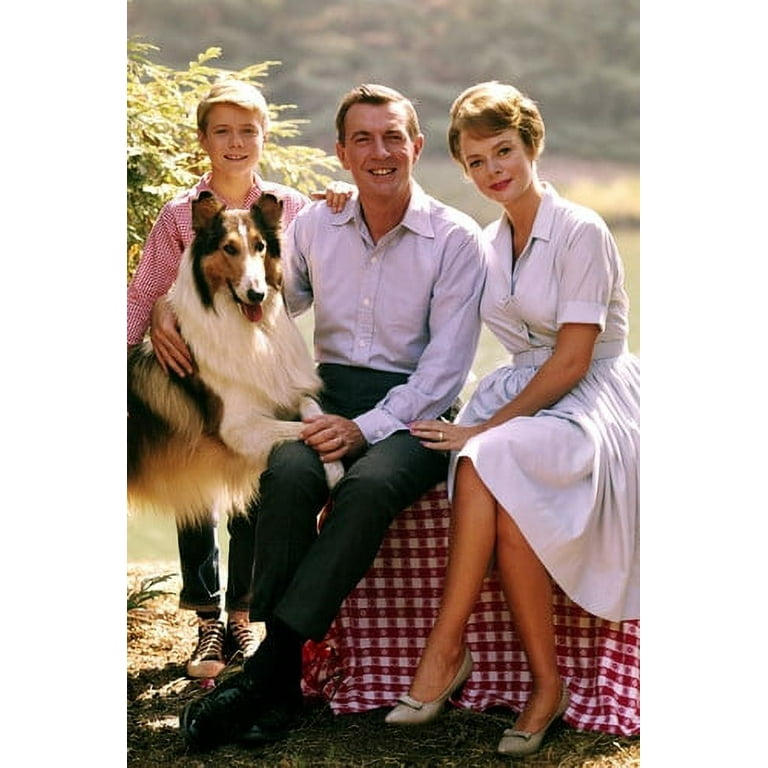 Jon Provost Original Lassie Movie SS2284724) Movie Picture ...