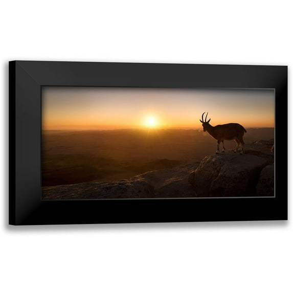 Jonas, Nadav 24x14 Black Modern Framed Museum Art Print Titled - A New Day