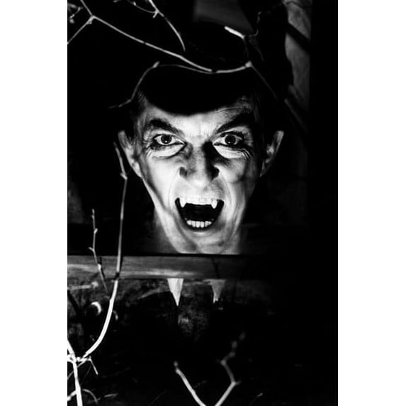 Jonathan Frid in Dark Shadows 24x36 Poster