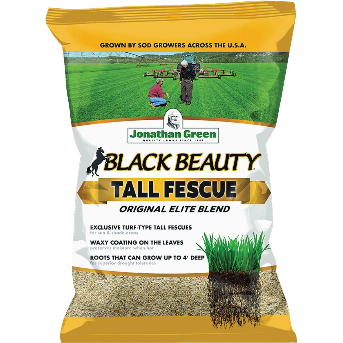 Jonathan Green 10314 3 lbs Black Beauty Tall Fescue Grass Seed Mixture