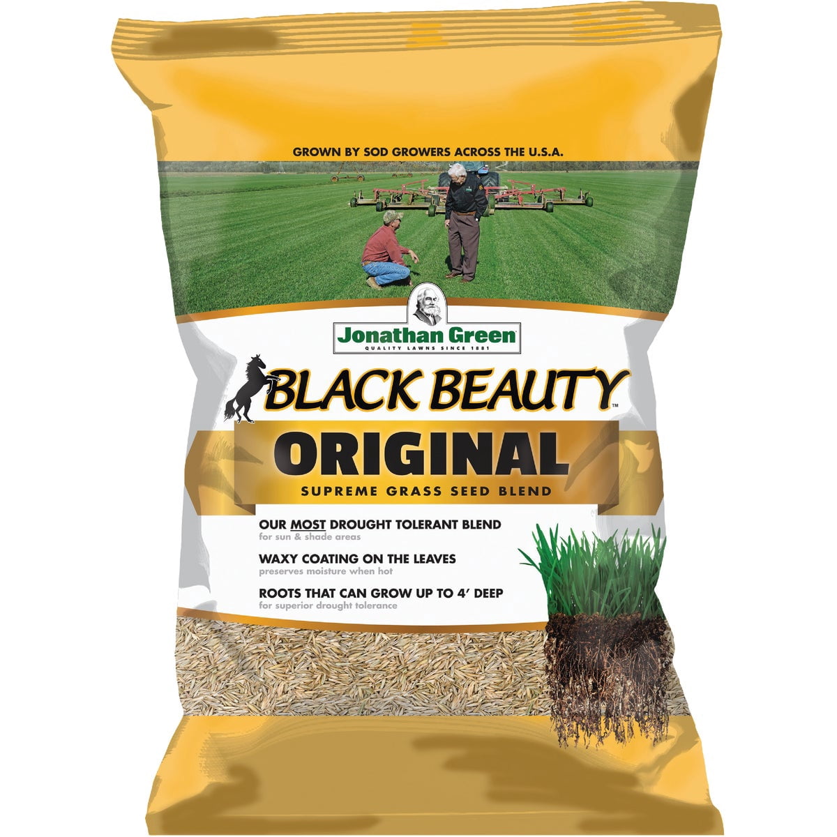 Jonathan Green Black Beauty Original Grass Seed Mix, 25 lbs - Drought-Tolerant
