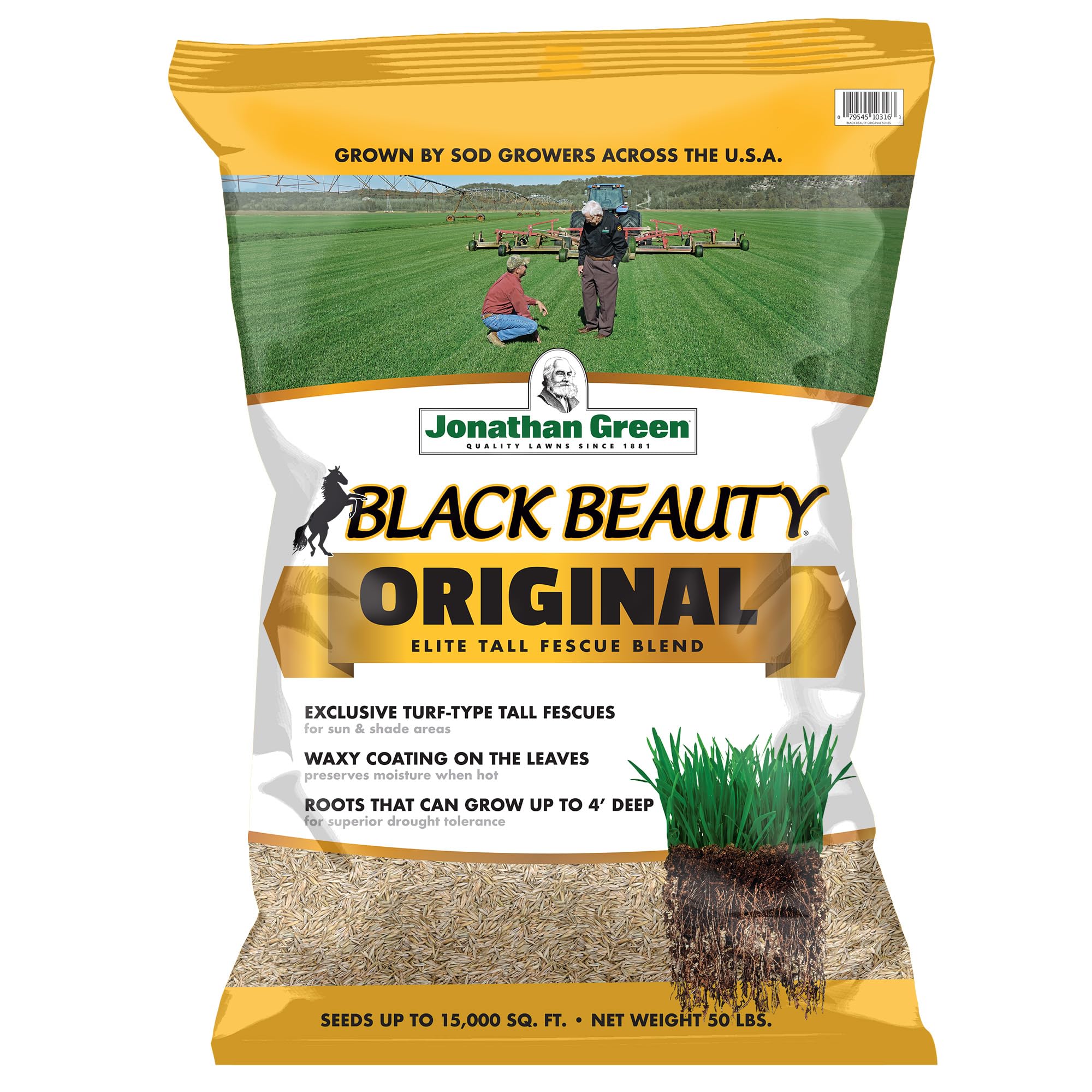 Jonathan Green (10316) Black Beauty Original MVR1&nbsp;Grass Seed Blend - Cool Season Lawn Seed (50 lb)