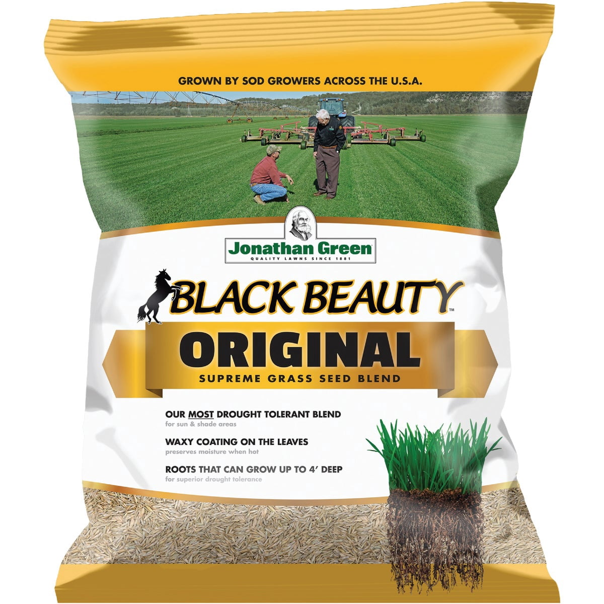 Jonathan Green 10318 Black Beauty Grass Seed Blend, Up to 1500 Sq.Ft, 5 Lbs