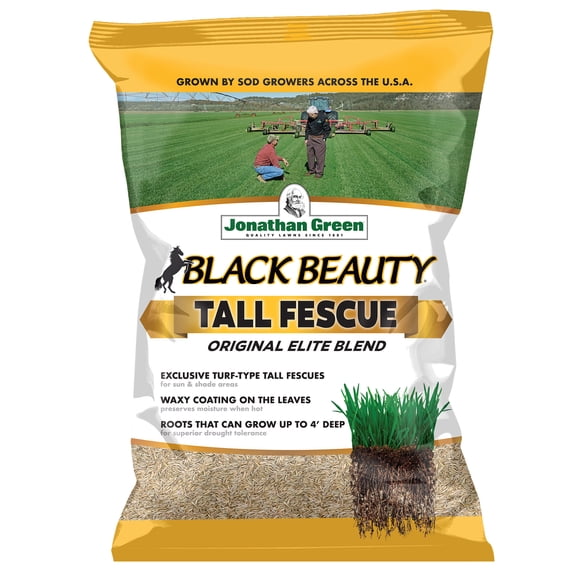 Jonathan Green Black Beauty Original Tall Fescue Grass Seed Blend, 7lb - Specially Bred for Naturally Green, Drought Resistant, Dense Lawns