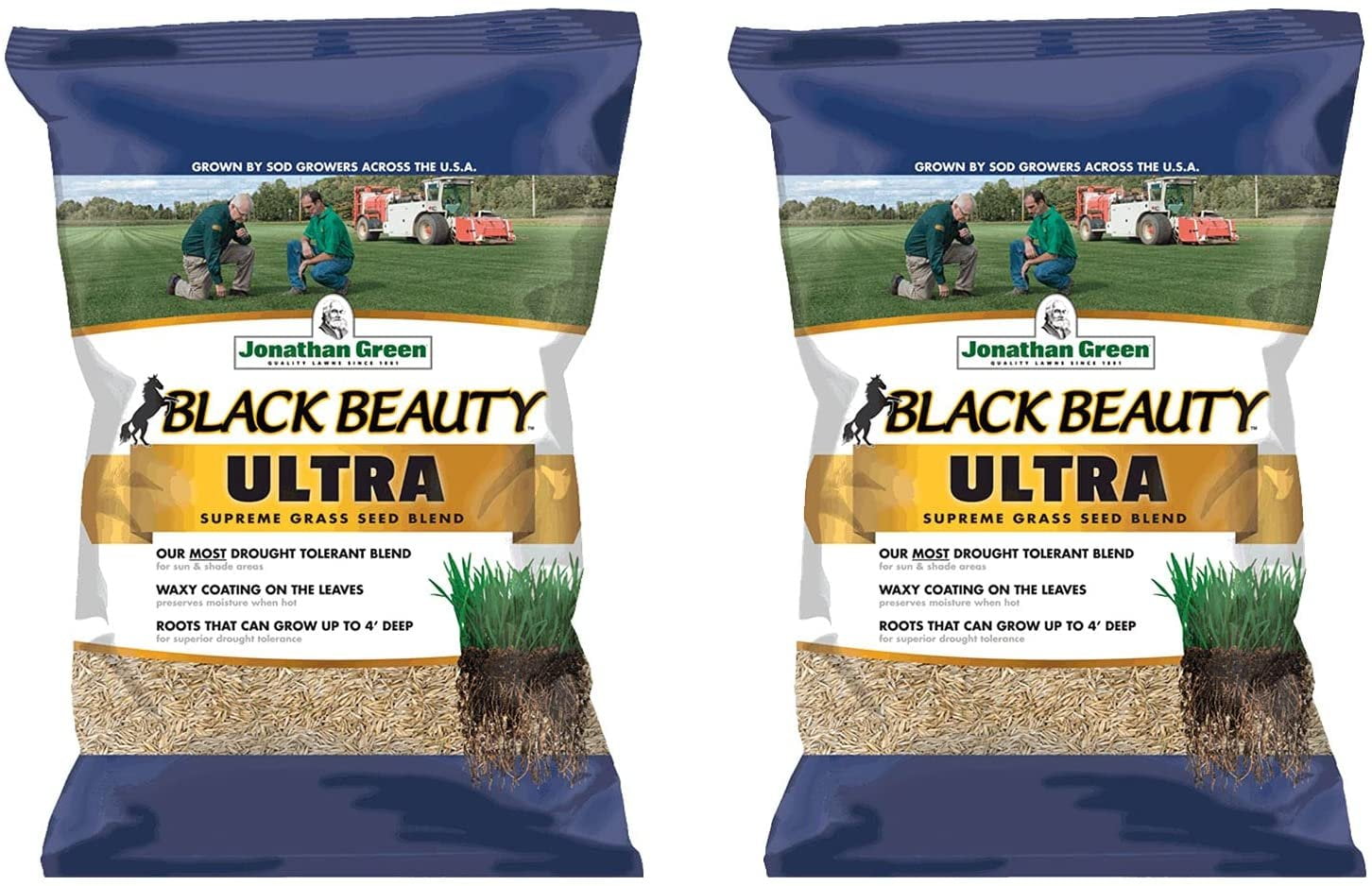 Inspiring Drought Resistant Grass Seed Images