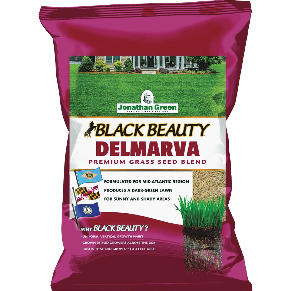 Jonathan Green Black Beauty Delmarva Mix Grass Seed, 50lb