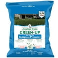 thumbnail image 1 of Jonathan Green 10456 Green-Up Lawn Fertilizer, 16 lb Bag, Granular, 20-0-3 N-P-K Ratio, 1 of 6