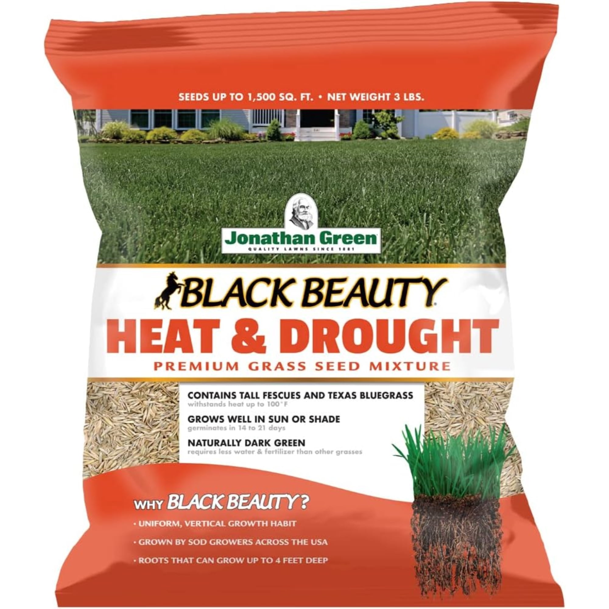 Jonathan Green Black Beauty Heat & Drought Grass Seed, Tall Fescue, 3