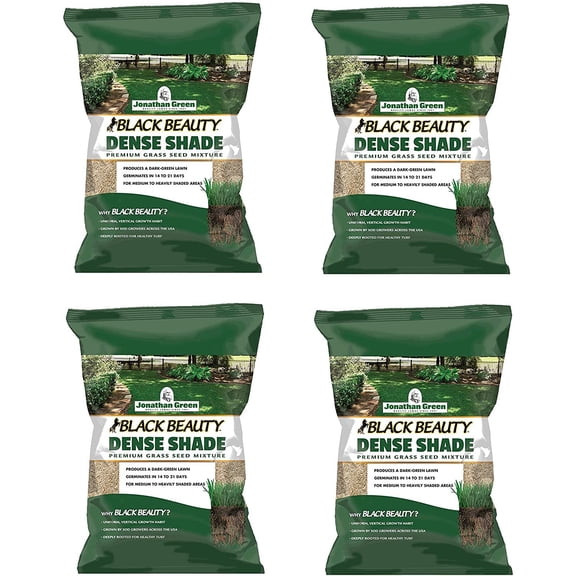 Jonathan Green Black Beauty Dense Shade Grass Seed Mix - Shade Tolerant - 4 Pack, 7 lbs