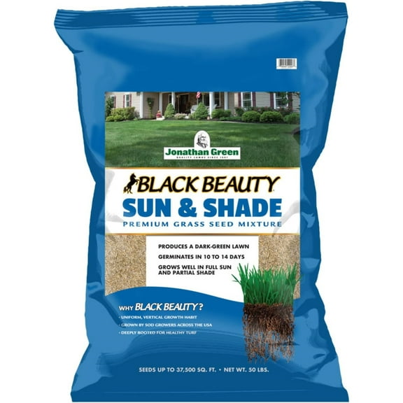 Jonathan Green 12007 Black Beauty Sun & Shade Grass Seed - Cool Season Lawn Seed, 50 lb