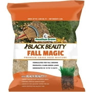 Jonathan Green Black Beauty Fall Magic 3 Lb. 750 Sq. Ft. Coverage Sun & Shade Grass Seed