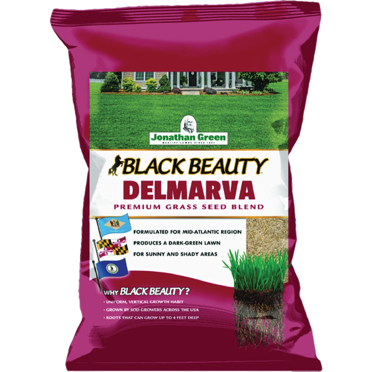 Jonathan Green Black Beauty Delmarva Grass Seeds, 3 lb - Cool Season Lawn Seed