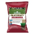 thumbnail image 1 of Jonathan Green Black Beauty Delmarva Mix Grass Seed, 50lb, 1 of 3
