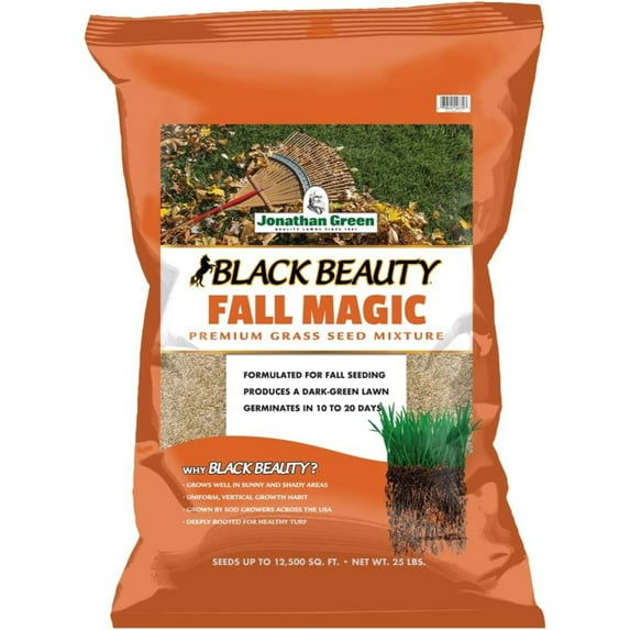 Jonathan Green 10770 Black Beauty Fall Magic Grass Seed - Cool Season Lawn Seed 25 lb