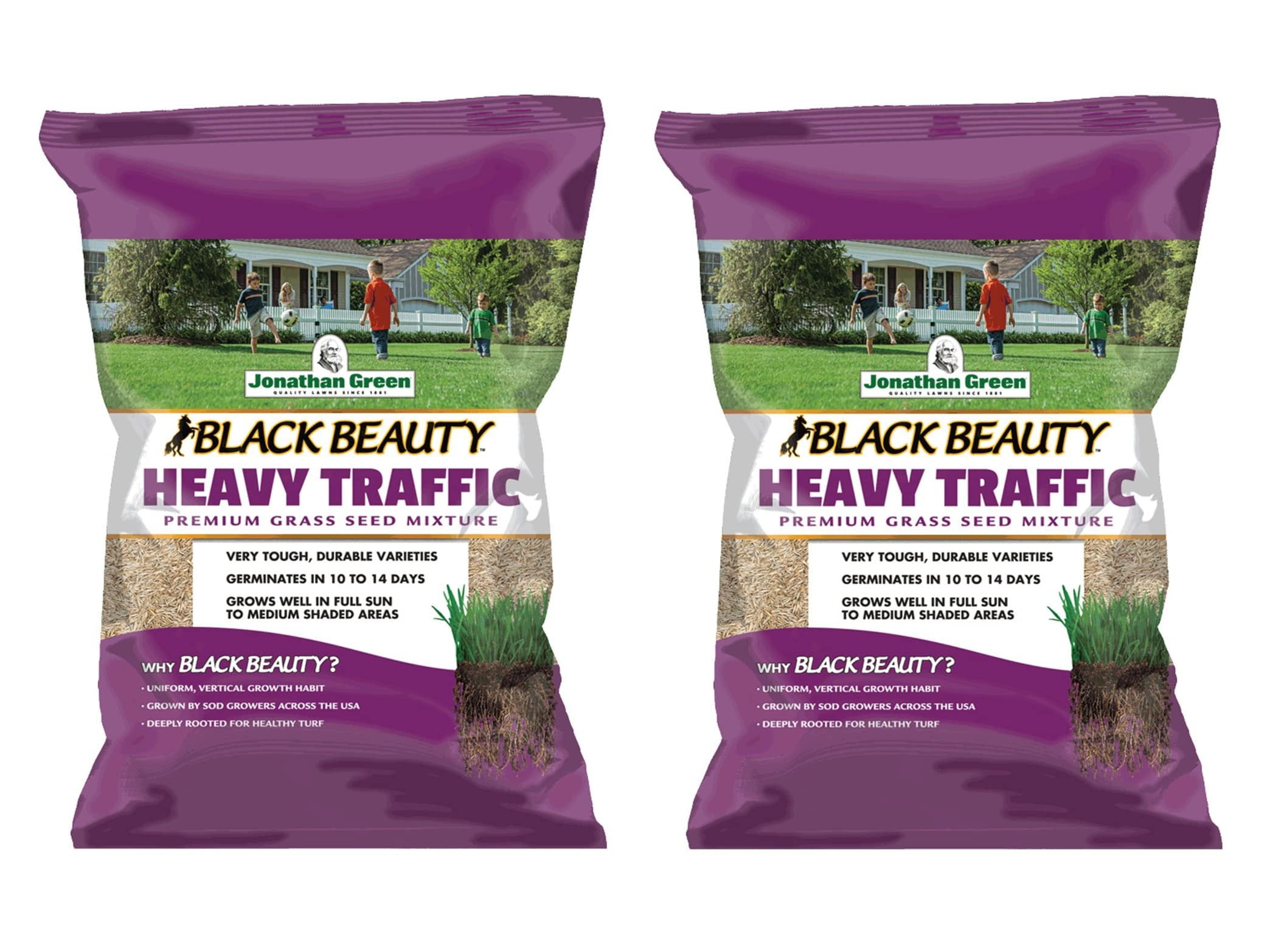 Jonathan Green Black Beauty Heavy Traffic Lawn Fescue Grass Seed, 7lb Pack of 2
