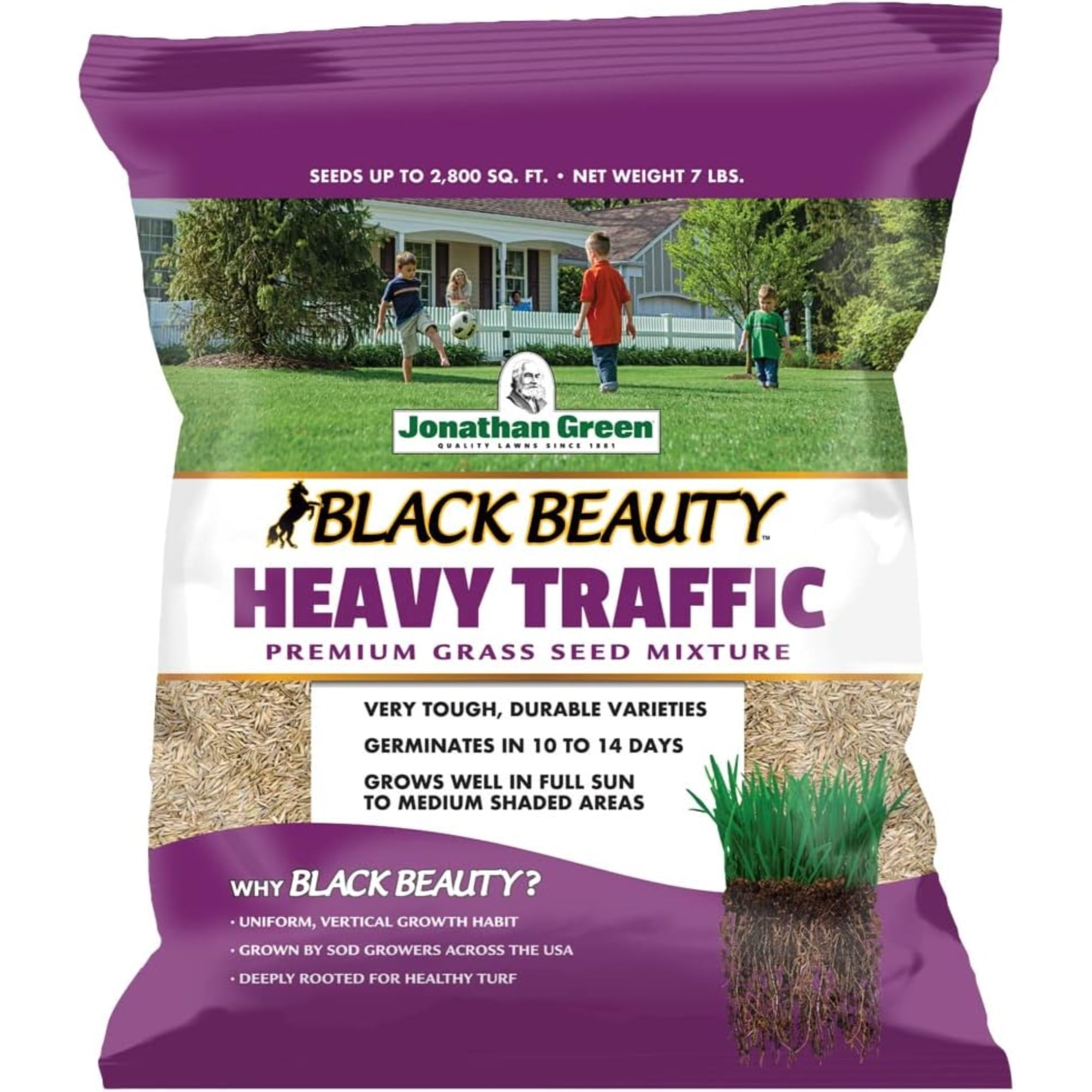 Jonathan Green Black Beauty Heavy Traffic Lawn Fescue Grass Seed, 7lbs