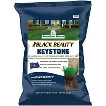 Jonathan Green Black Beauty Keystone All Grasses Sun or Shade Grass Seed 25 lb
