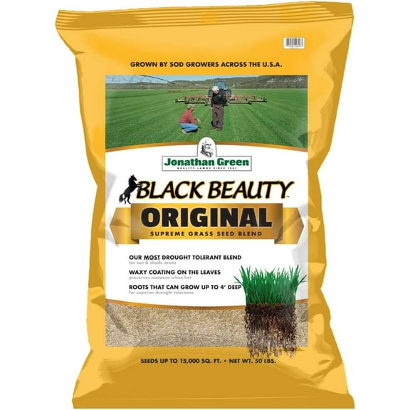 Jonathan Green BLACK BEAUTY TALL FESCUE GRASS SEED MIXTURE, 50lb