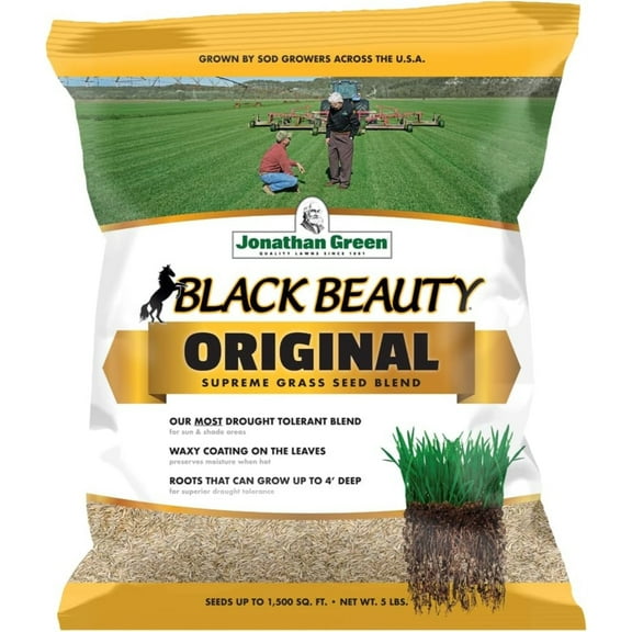 Jonathan Green Black Beauty Original Tall Fescue Grass, 5 lb Bag- Drought & Heat Tolerant
