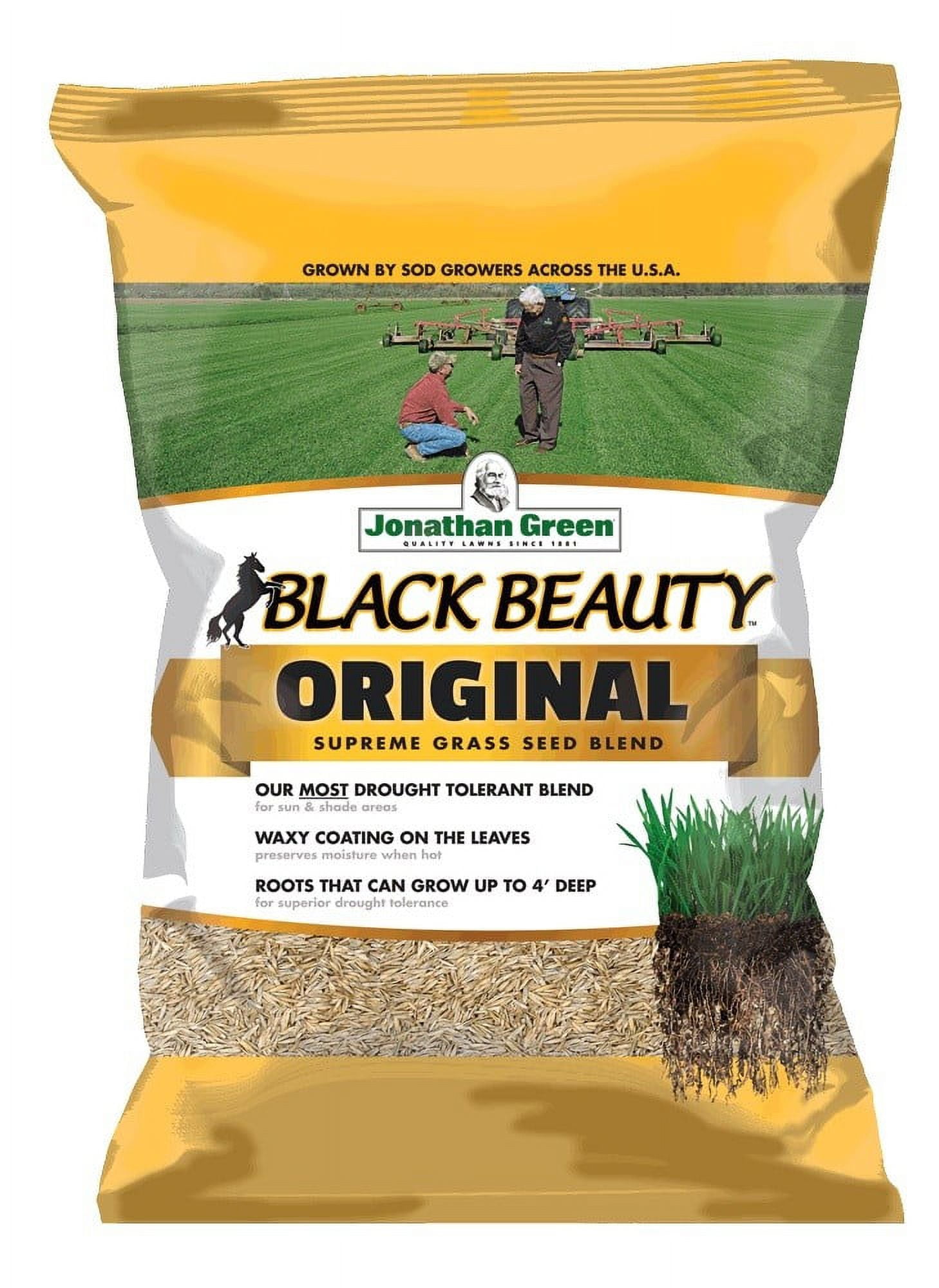 Jonathan Green Black Beauty Original Tall Fescue Grass Sun or Shade