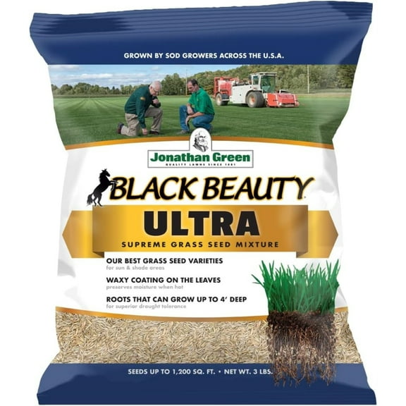 Black Beauty Ultra 3lb Blk Beauty Ult Seed 10321