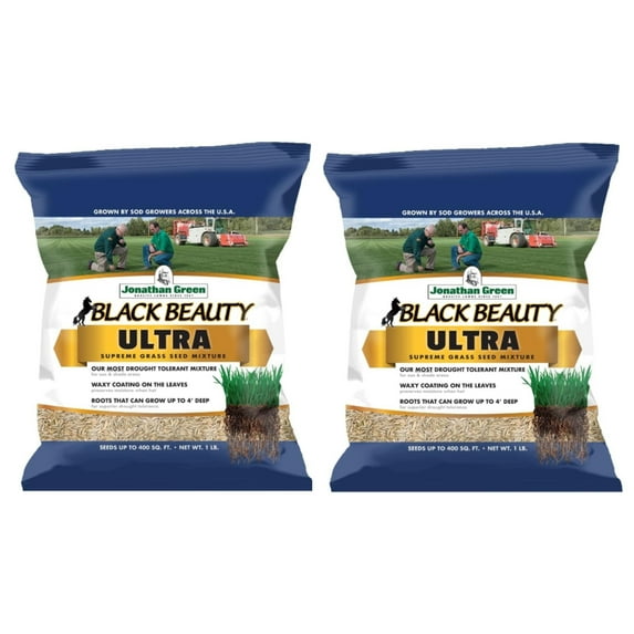 Jonathan Green Black Beauty Ultra Grass Seeds 1Pound