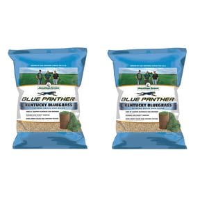 Jonathan Green Blue Panther Kentucky Bluegrass Supreme Seed Blend, 25lb Pack of 2