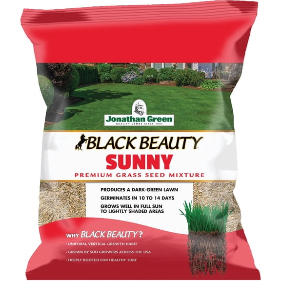 Jonathan Green Full Sun Grass Seed, 3-Pound