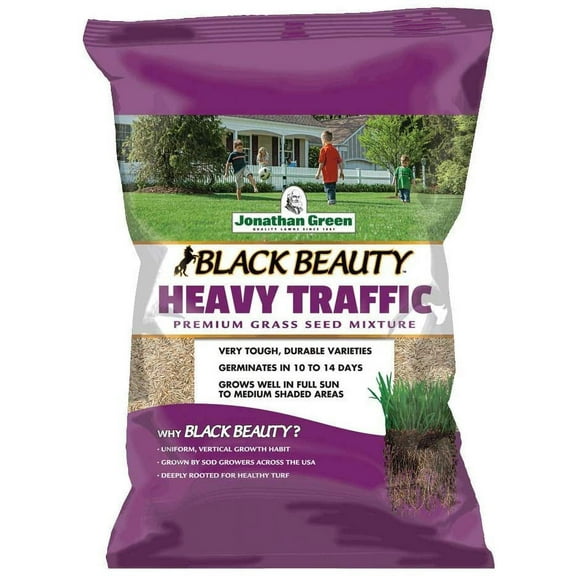 Wetsel Green Heavy Traffic Fescue Grass Seed Mix - Hardy, Full Sun