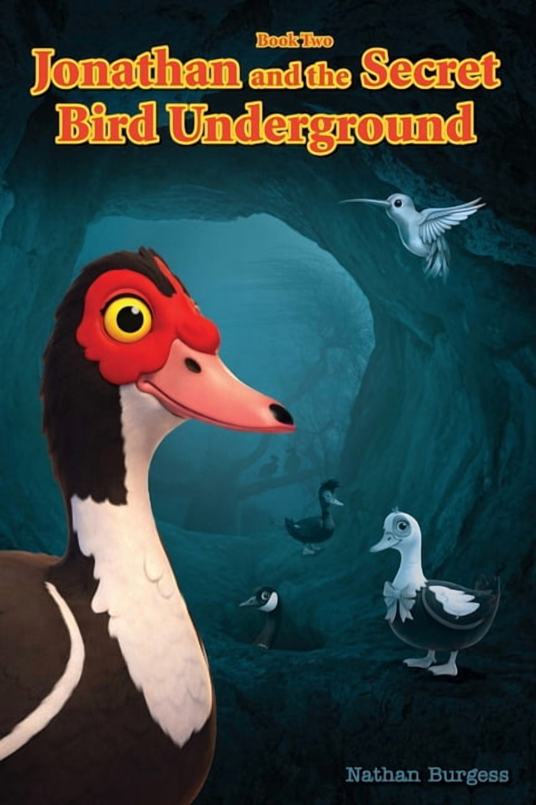 Jonathan the Duck and Friends Jonathan and the Secret Bird Underground, Book 2, (Paperback)