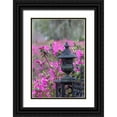 thumbnail image 1 of Jones, Adam 11x14 Black Ornate Wood Framed with Double Matting Museum Art Print Titled - Iron fence and azaleas in full bloom-Bonaventure Cemetery-Savannah-Georgia, 1 of 4