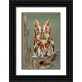 thumbnail image 1 of Jones, Adam 11x14 Black Ornate Wood Framed with Double Matting Museum Art Print Titled - Eastern screech owl-Florida, 1 of 4