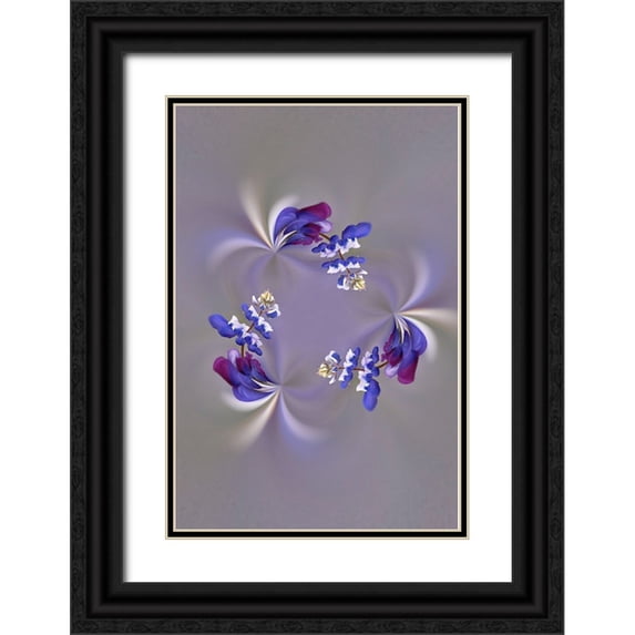 Jones, Adam 11x14 Black Ornate Wood Framed with Double Matting Museum Art Print Titled - Lupine flower-Napa Valley-California