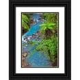 thumbnail image 1 of Jones, Adam 11x14 Black Ornate Wood Framed with Double Matting Museum Art Print Titled - Small stream or creek-Costa Rica, 1 of 4