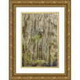 thumbnail image 1 of Jones, Adam 11x14 Gold Ornate Wood Framed with Double Matting Museum Art Print Titled - Bald cypress trees draped in Spanish moss in autumn lining Government Ditch Caddo Lake, 1 of 4