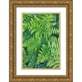thumbnail image 1 of Jones, Adam 11x14 Gold Ornate Wood Framed with Double Matting Museum Art Print Titled - Fern pattern in forest-Yosemite National Park-California, 1 of 4