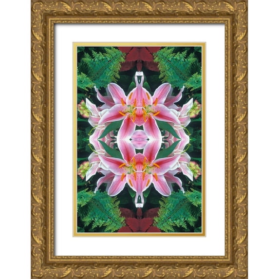 Jones, Adam 11x14 Gold Ornate Wood Framed with Double Matting Museum Art Print Titled - Flipped and reflected Stargazer Lilies-Cincinnati-Ohio