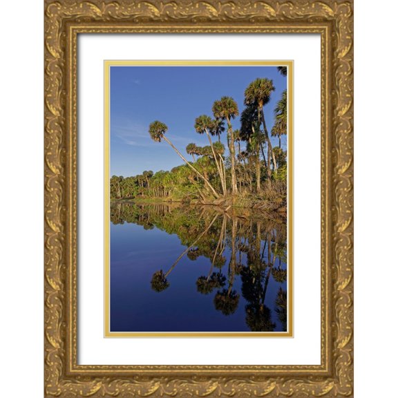 Jones, Adam 11x14 Gold Ornate Wood Framed with Double Matting Museum Art Print Titled - Sable palms reflected on the Econlockhatchee River