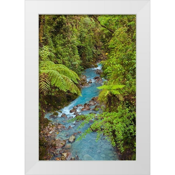 Jones, Adam 11x14 White Modern Wood Framed Museum Art Print Titled - Small stream or creek-Costa Rica