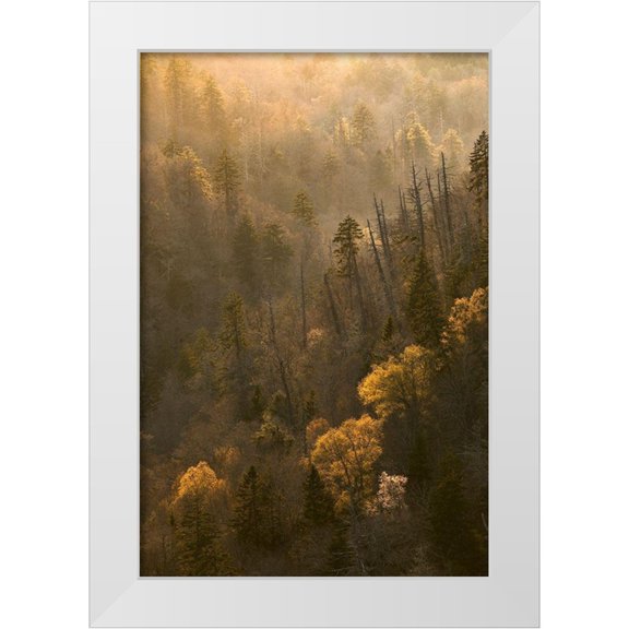 Jones, Adam 11x14 White Modern Wood Framed Museum Art Print Titled - Spring sunset from Morton Overlook-Great Smoky Mountains National Park-Tennessee