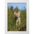 thumbnail image 1 of Jones, Adam 11x14 White Modern Wood Framed Museum Art Print Titled - Wolf pup-Canis lupus-Captive, 1 of 4