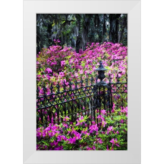 Jones, Adam 11x14 White Modern Wood Framed Museum Art Print Titled - Wrought Iron fence and azaleas in full bloom-Bonaventure Cemetery-Savannah-Georgia
