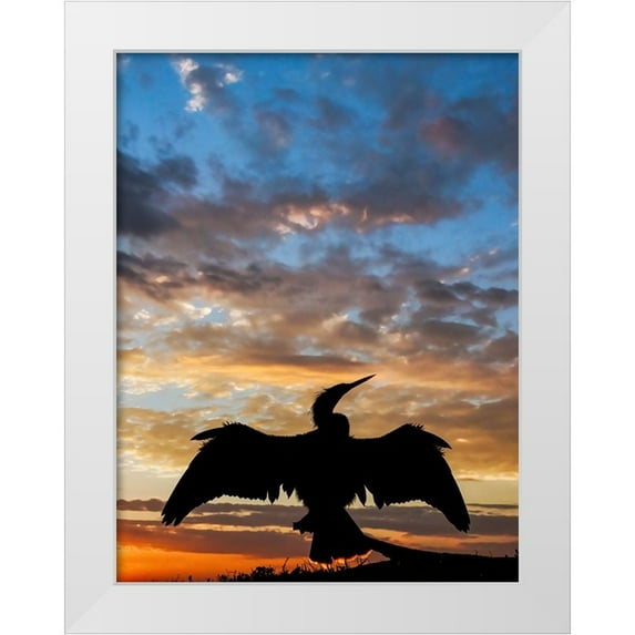 Jones, Adam 12x14 White Modern Wood Framed Museum Art Print Titled - Anhinga silhouetted at sunset-Florida