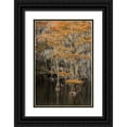 thumbnail image 1 of Jones, Adam 13x18 Black Ornate Wood Framed with Double Matting Museum Art Print Titled - Bald Cypress tree draped in Spanish moss with fall colors Caddo Lake State Park-Uncertain-Texas, 1 of 4